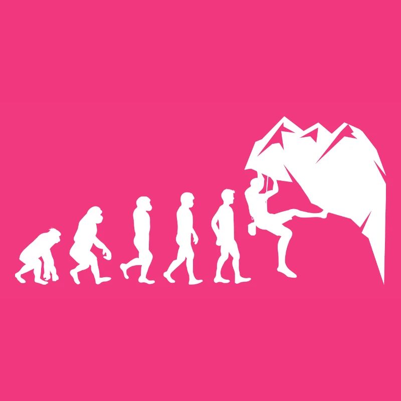 Rock Climbing Bouldering Wall Climber Evolution