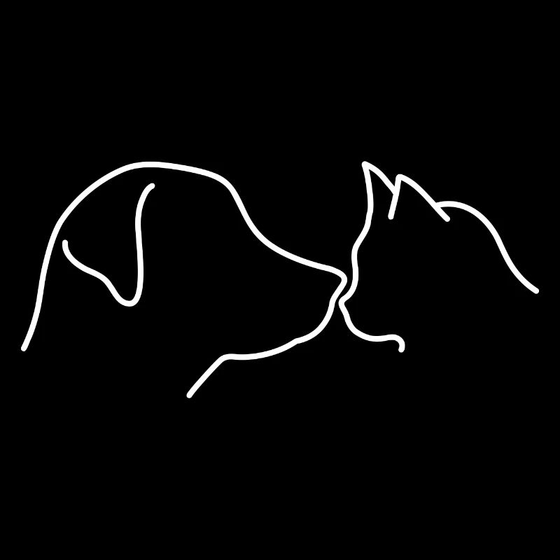 Chien Chat Amour Cohésion Lumineuse