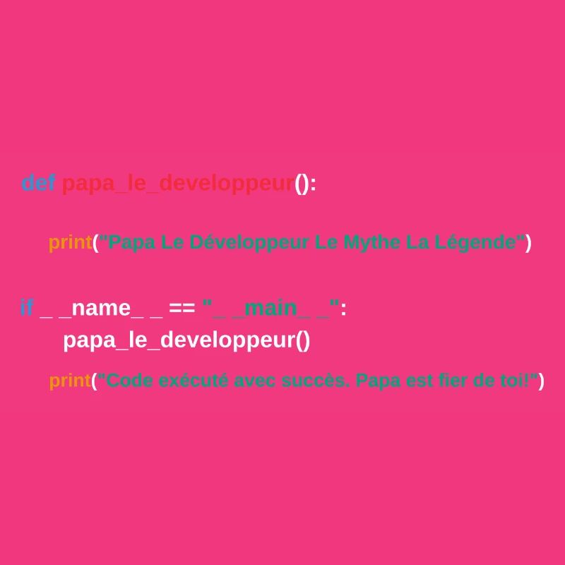 Code du programme Papa développeur