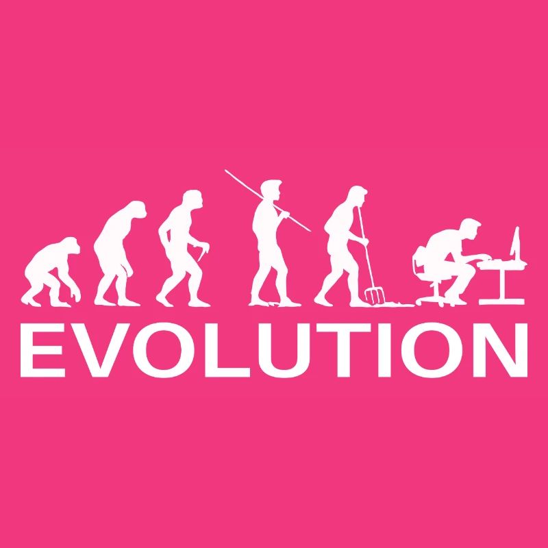 Programmeur Évolution Informaticien Développeur
