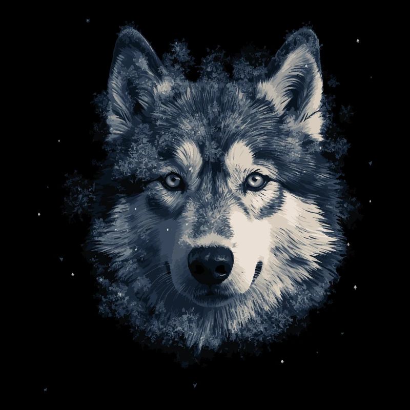 Husky Dog