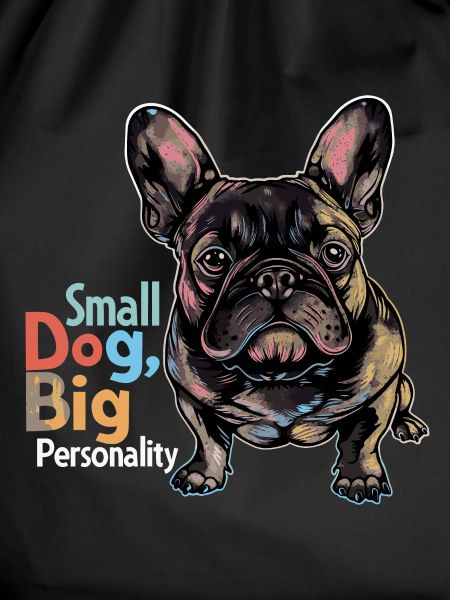 Cute french bulldog
