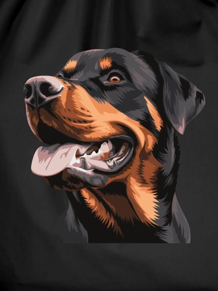 Rottweiler dog