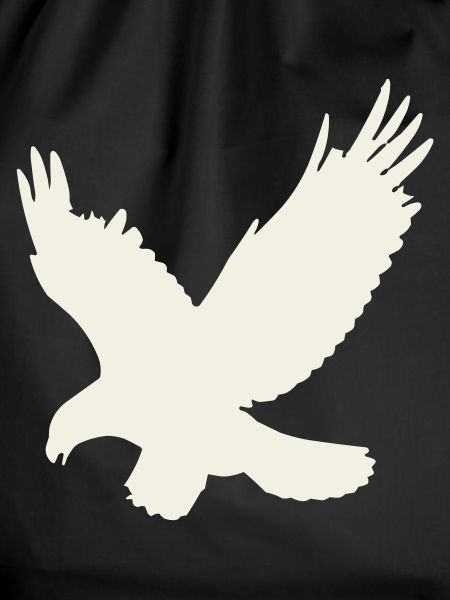 Eagle silhouette in flight