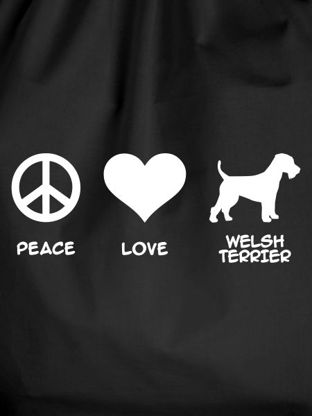 Welsh Terrier