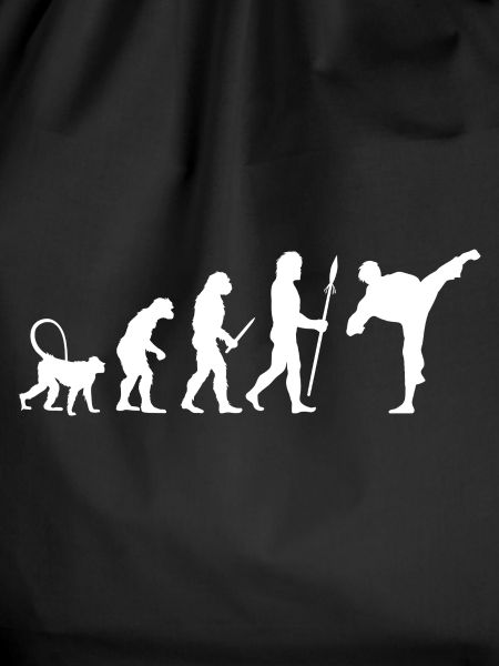 Karate Evolution