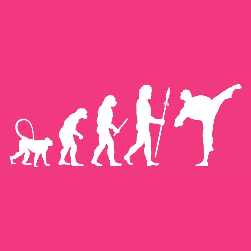 Karate Evolution