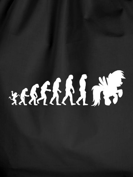 Evolution horse