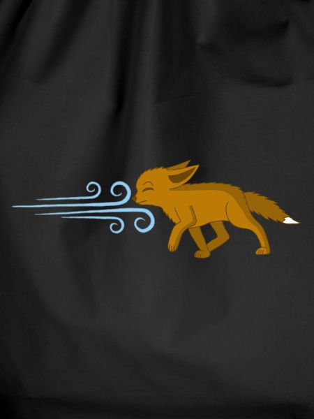Der Fuchs und der Wind