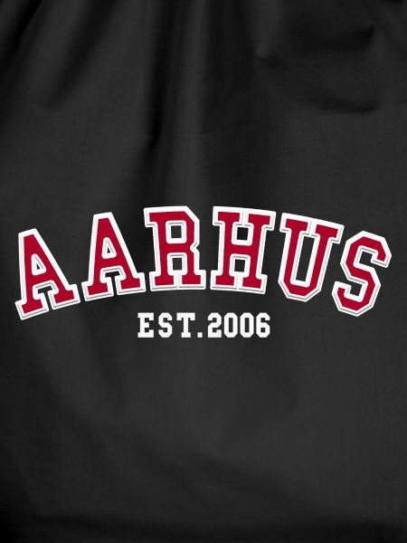 Aarhus Gründung 2006