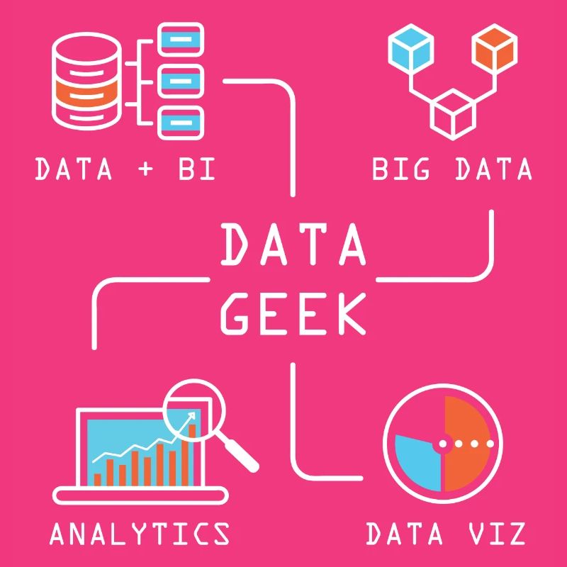 Data Geek Software Developer