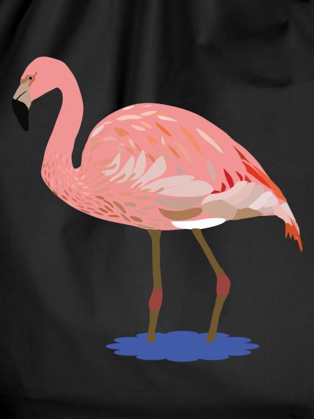 Flora Flamingo
