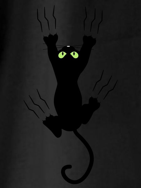 BAD BLACK CAT