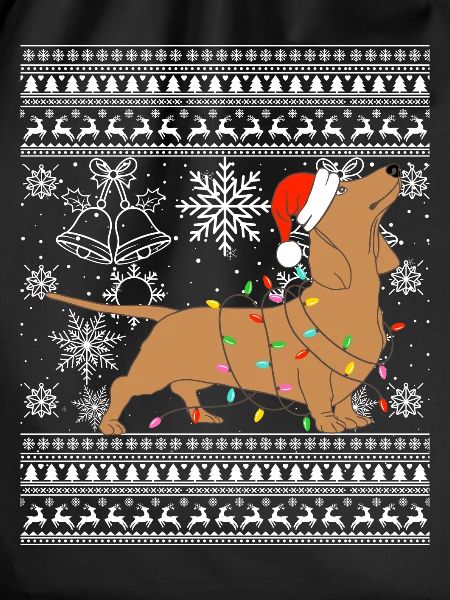 Dachshund in Christmas mode