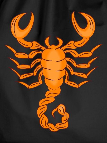 Sternzeichen Skorpion