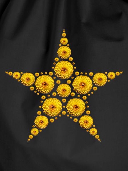 yellow dahlia star