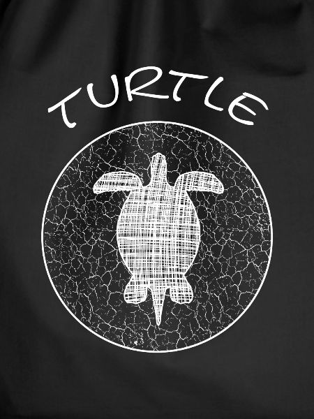 Turtle Schildkröte