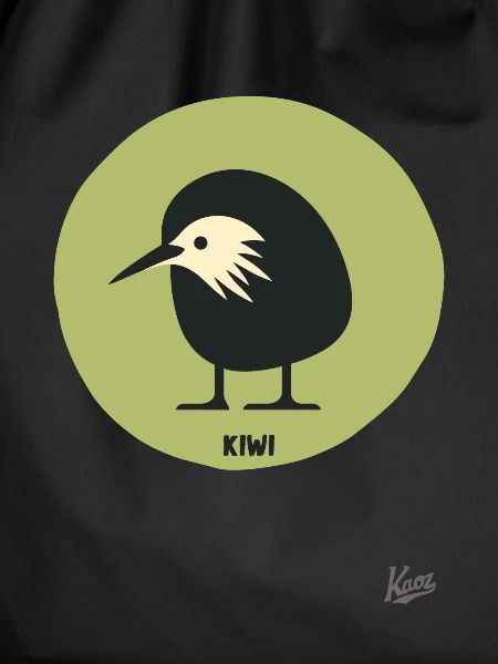 Abstract comic kiwi bird
