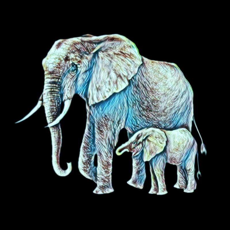 Éléphant