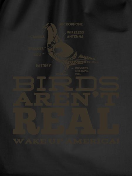 Birds Aren't Real
