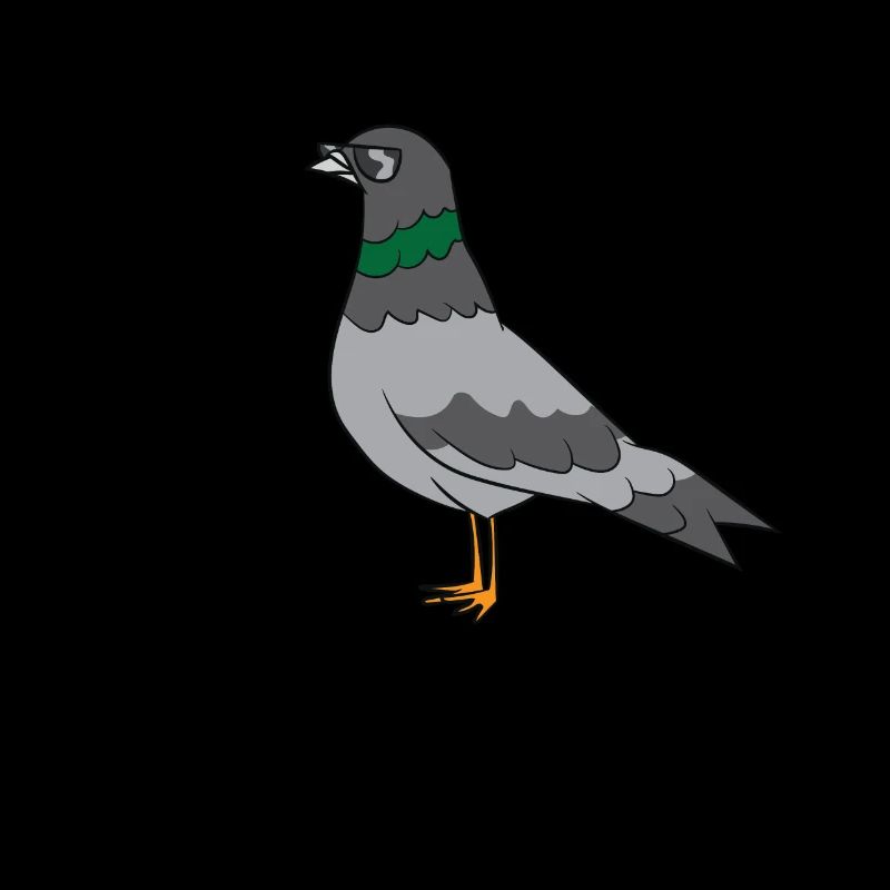 Pigeon - Colombe cool avec lunettes de soleil