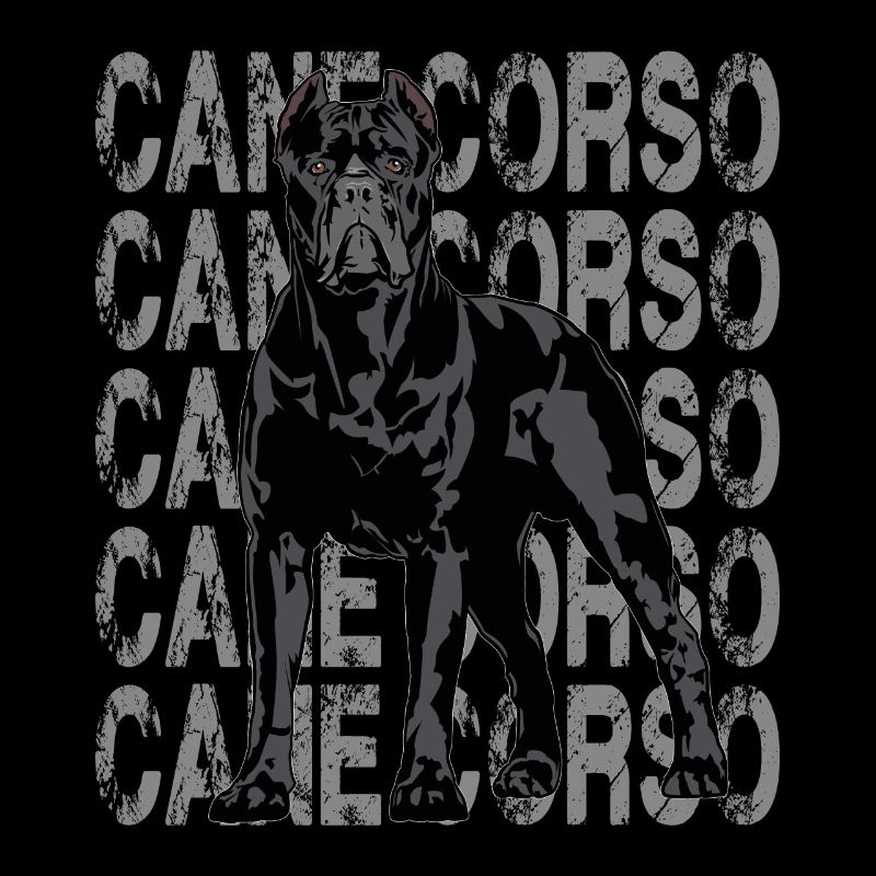 Cane Corso Molosser Mastiff Italian
