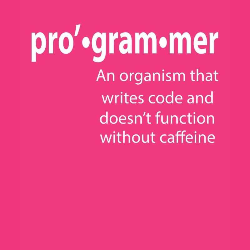 Programmeur - Coder - Hacker - IT