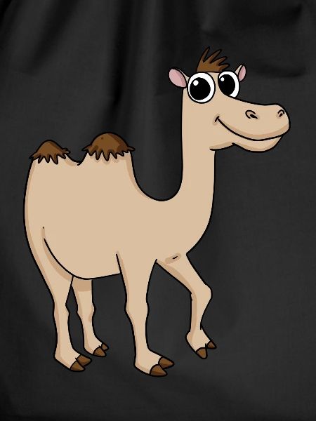 Cute camel