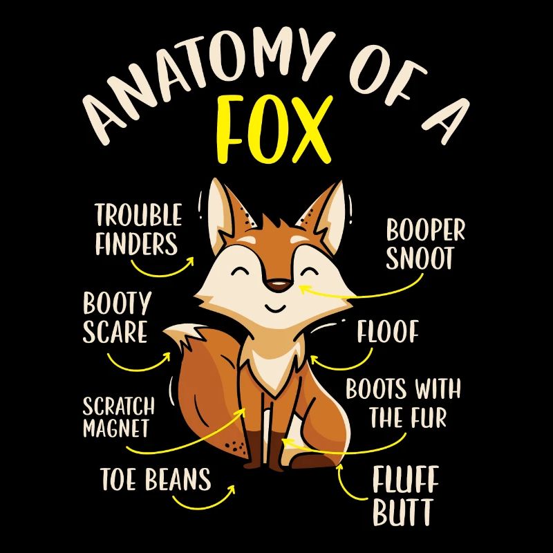 Anatomie d’un renard Faune Animaux Renards Renards