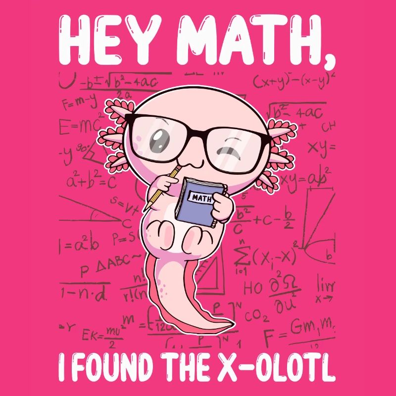 Drôle Math Axolotl Math Cadeau