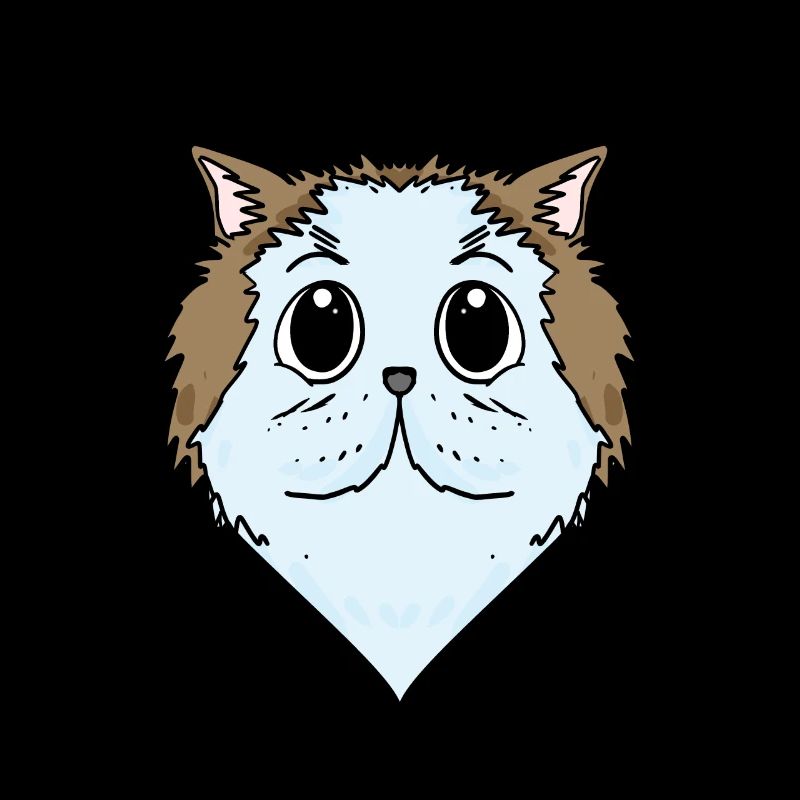 Perserkatze Katzenrasse Katze