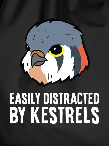 Easily Distracted By Kestrels