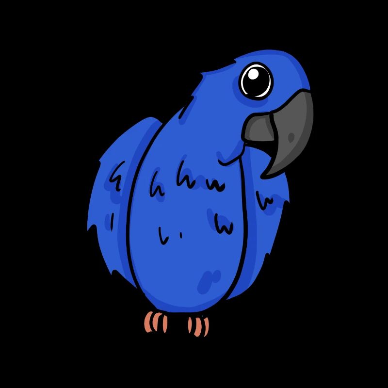 Hyacinth Macaw Parrot Bird