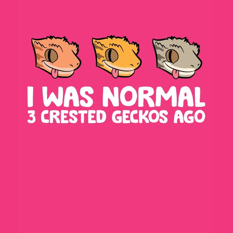 Crested Gecko Keeper I Was Normal 3 Crested