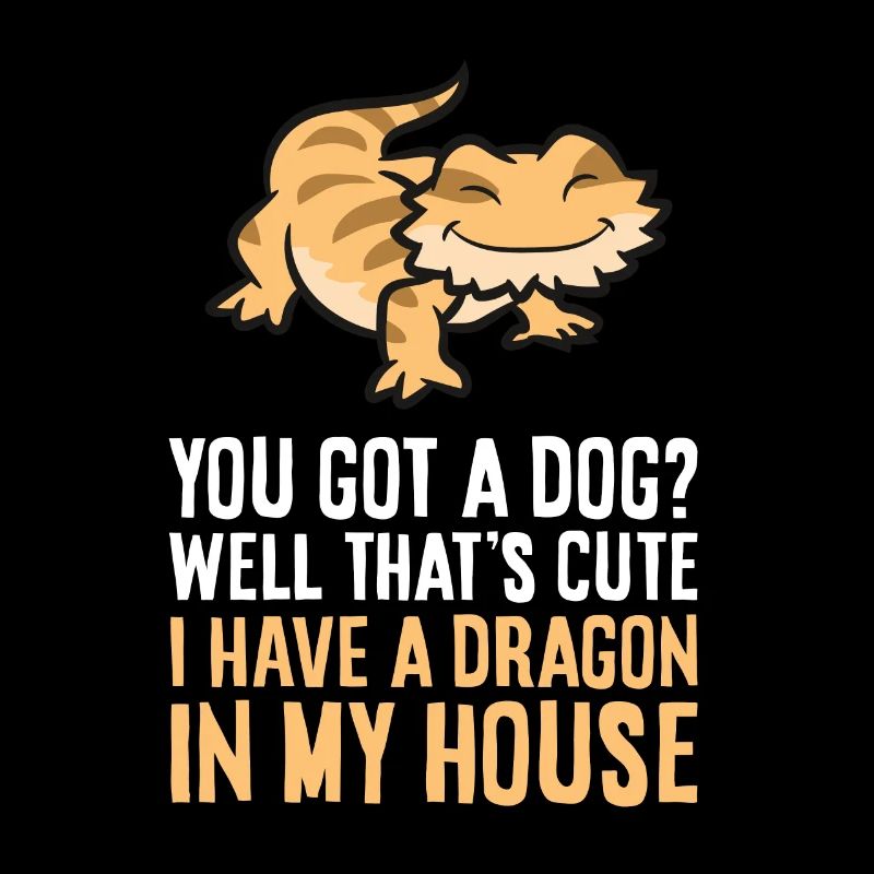 Bearded Dragon Owner Bearded Dragon Pet Bearded