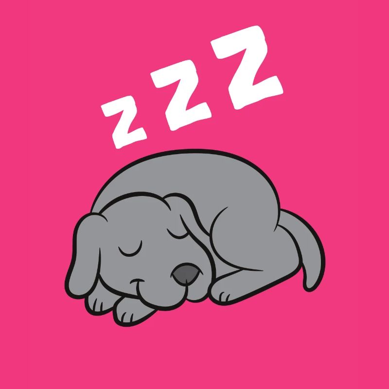 Weimaraner Hund Schlafpyjama Schlafender