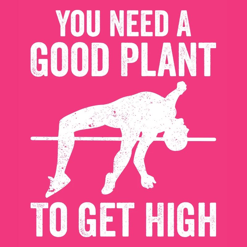Fun pole vault