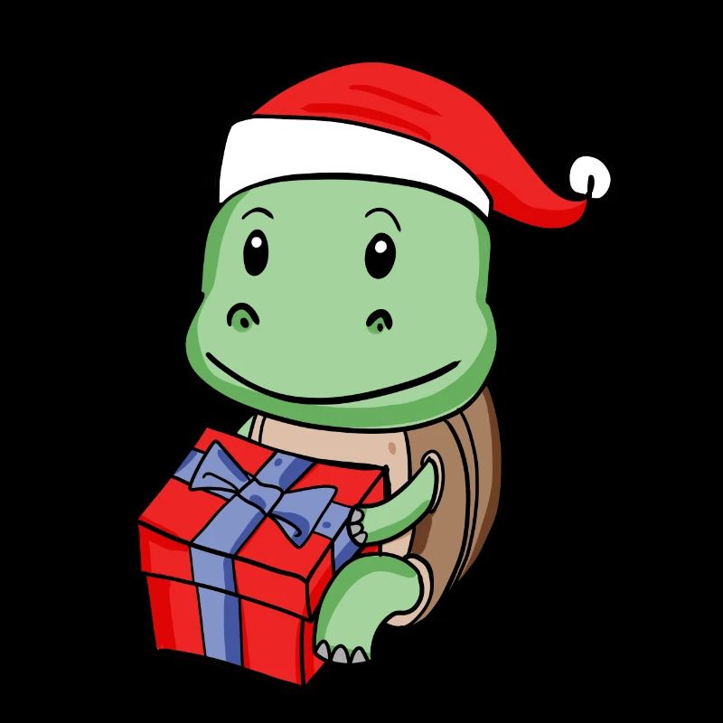 Bébé tortue de Noël avec cadeau