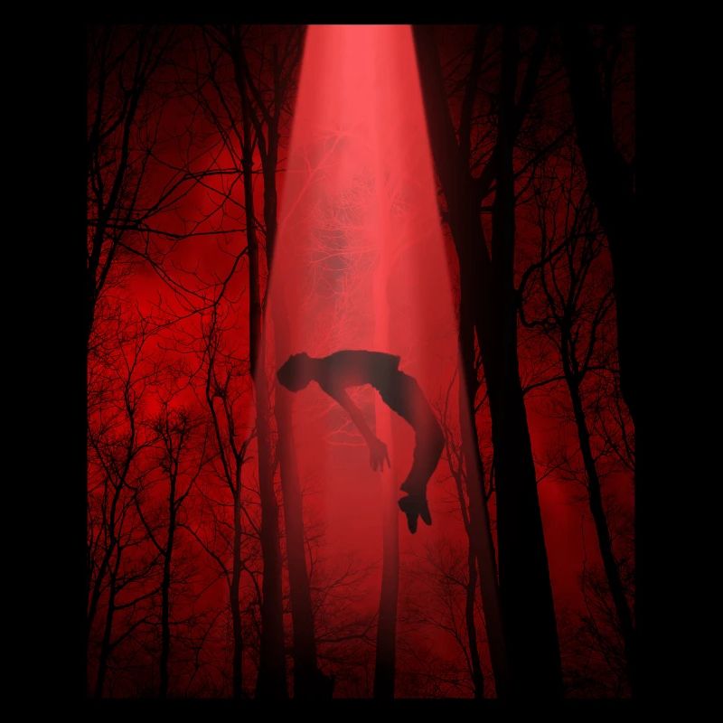 Cryptidcore Esthétique OVNI Alien Abduction