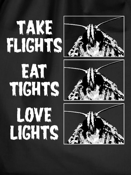 Mothman Cryptozoology