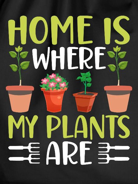 Fun Houseplant Nursery