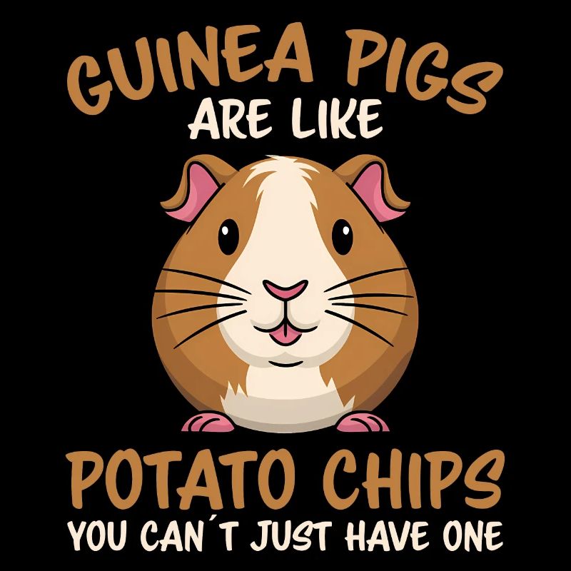 Dicton de cochon d’Inde, Cadeau de cochon d’Inde