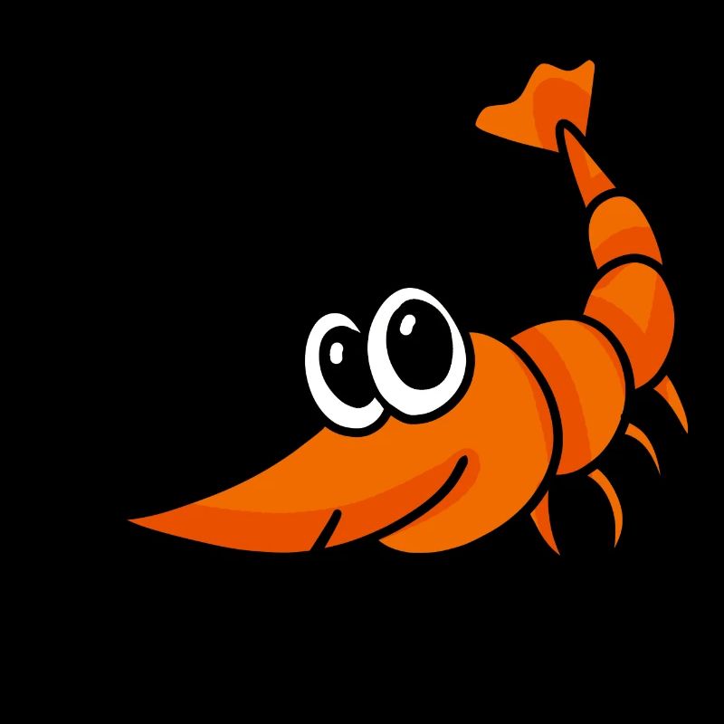 Shrimp shrimp