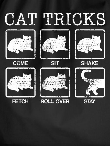 Cats art pieces
