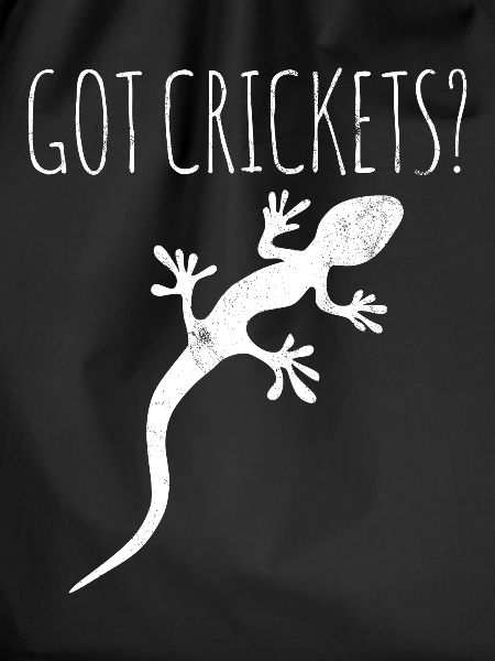 Lizard Gecko Owner
