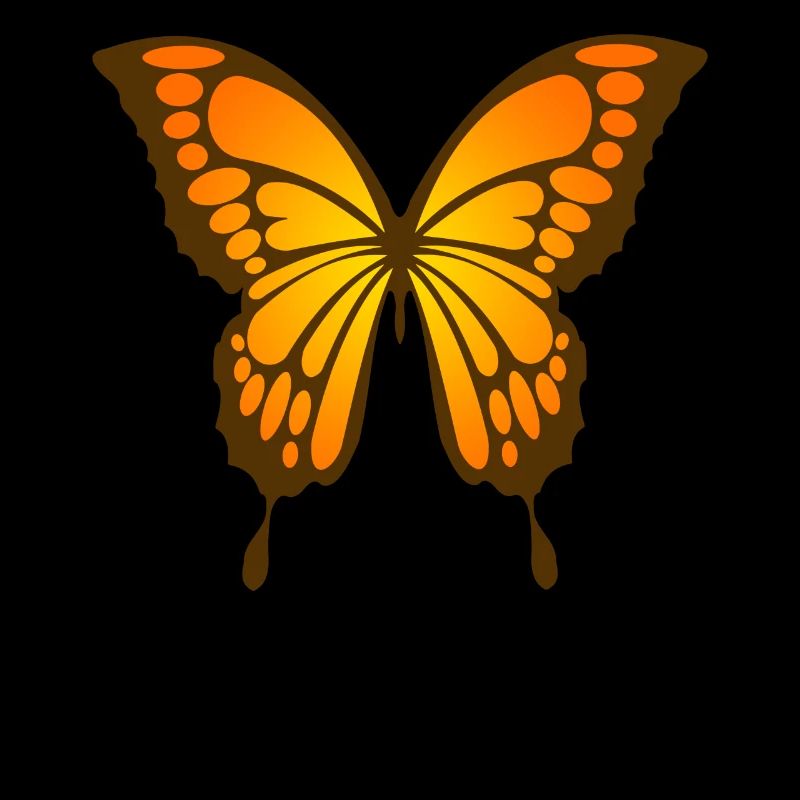 Butterfly Orange Red Insect
