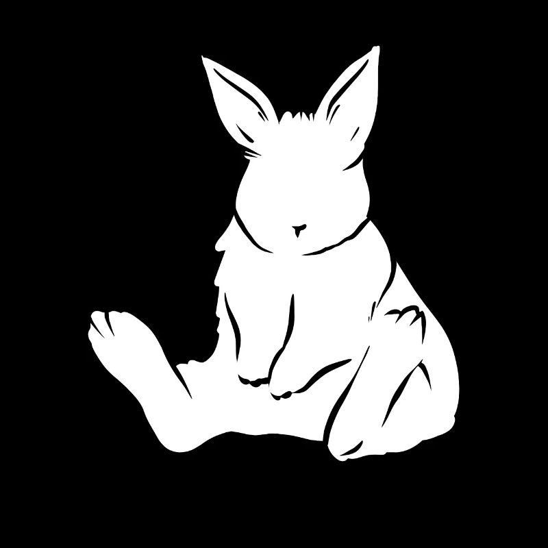 Lapin lapin lapin