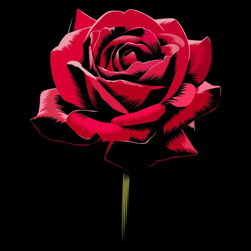 Rosa Blume