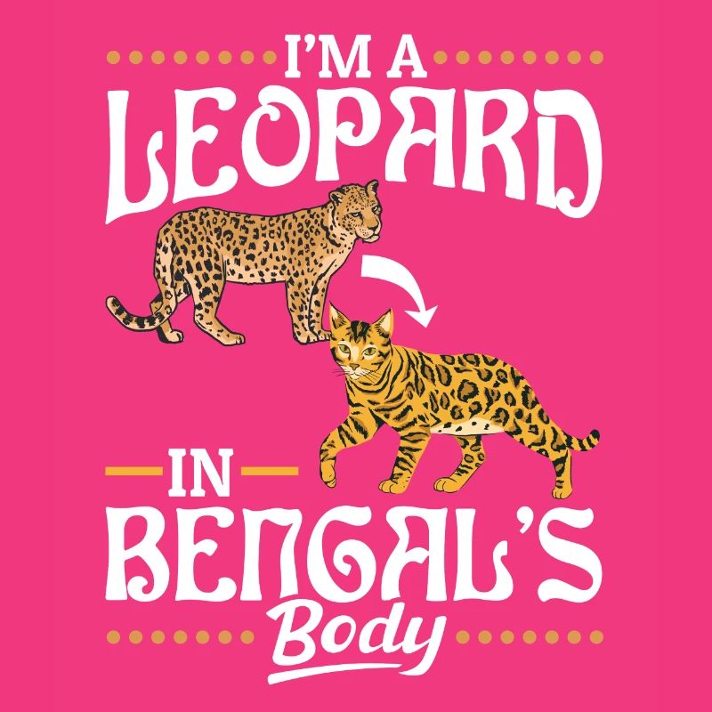 Léopard dans le corps du Bengale Race de chat américain