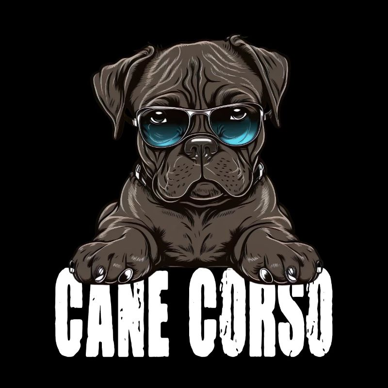 Cane Corso Welpe für einen Cane Corso Besitzer